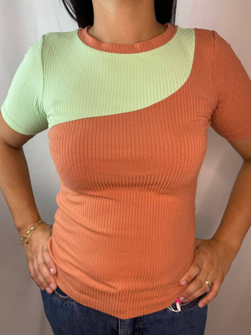 Blusa Colorida